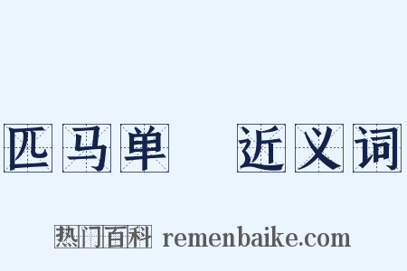 匹马单槍近义词是什么意思的图片